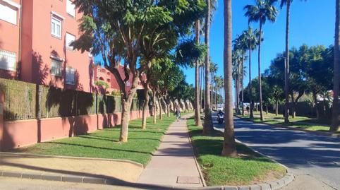 Foto 3 de Traster de lloguer a Calle Camelia, 2, Cortijo Torrequebrada, Málaga