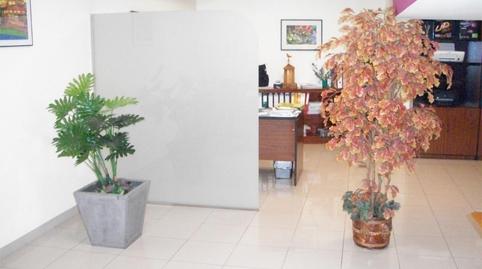 Foto 3 de Planta baixa de lloguer a Avenida Da Habana, 111, Centro, Ourense