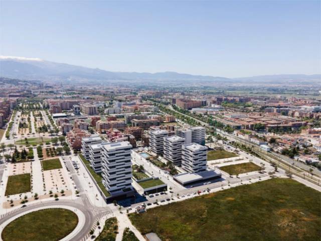 Local comercial en Alquiler en Calle la Palmita, 12 en Avda. Federico Garcia Lorca - Nueva Estación Autobuses
