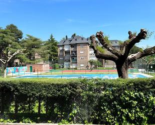 Swimming pool of Flat to rent in Guadarrama