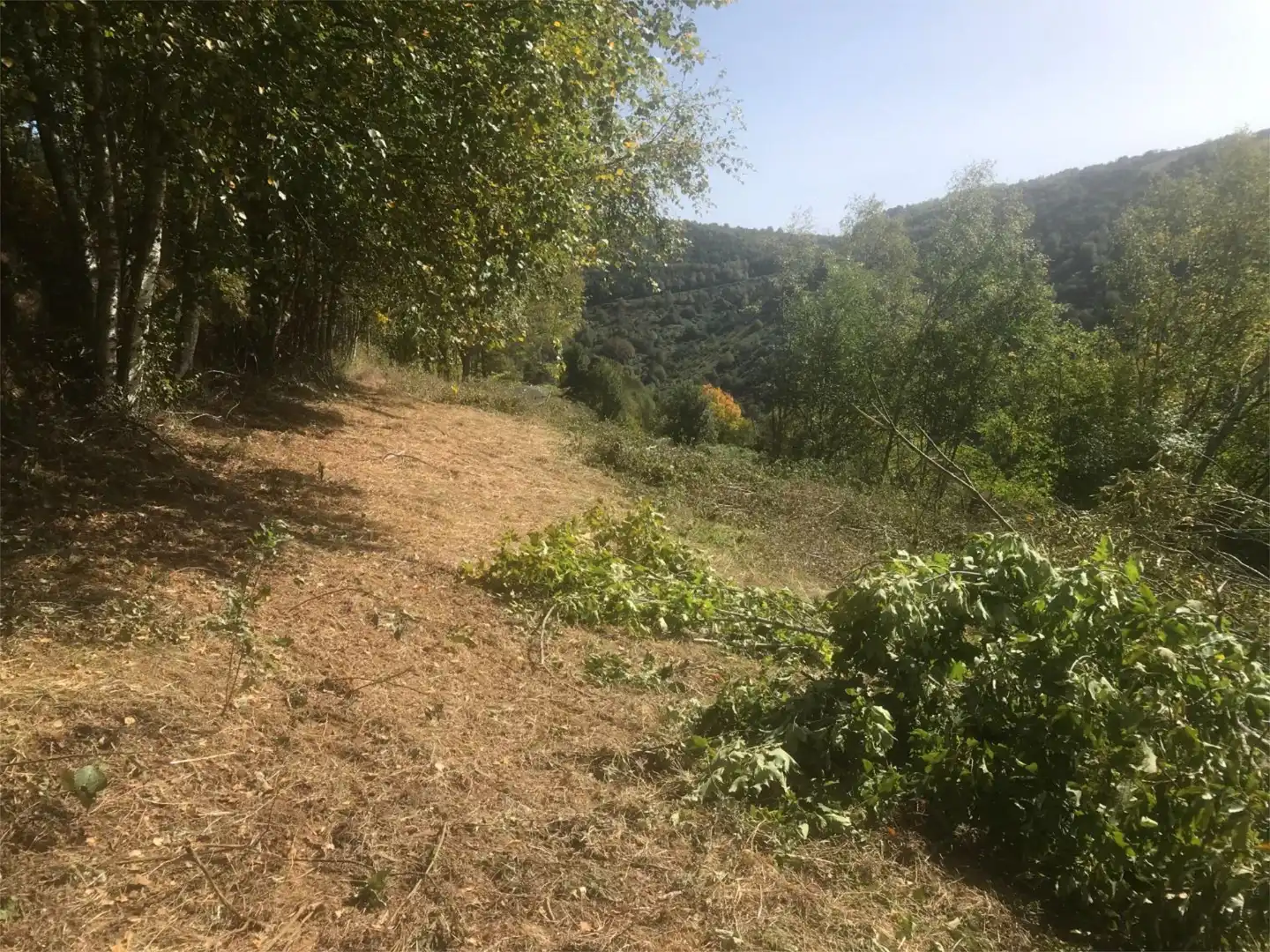 Land for sale in LU-633, 4, Pedrafita do Cebreiro Land for sale in Pedrafita do Cebreiro