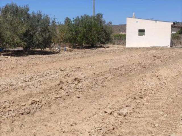 Finca rústica en Venta en Diseminado Campo, 1 en Blanca