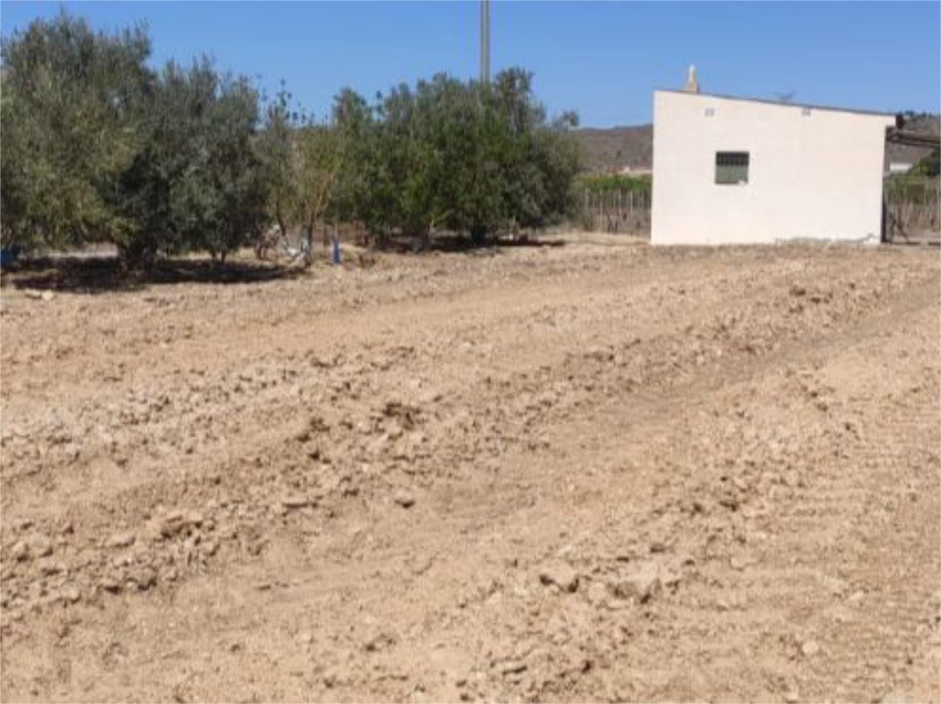Finca rústica en venda en Blanca