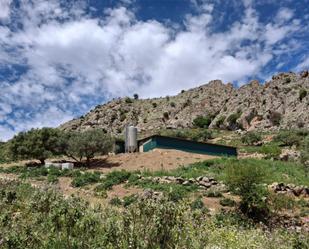 Vista exterior de Finca rústica en venda en Alfarnate