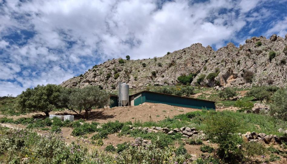 Finca rústica en venta en Calle Federico Garcia Lorca, 8, Alfarnate, Málaga - imagen 1 Foto 1 de Finca rústica en venta en Calle Federico Garcia Lorca, 8, Alfarnate, Málaga