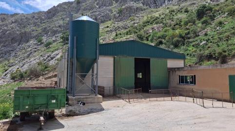 Finca rústica en venta en Calle Federico Garcia Lorca, 8, Alfarnate, Málaga - imagen 3 Foto 3 de Finca rústica en venta en Calle Federico Garcia Lorca, 8, Alfarnate, Málaga