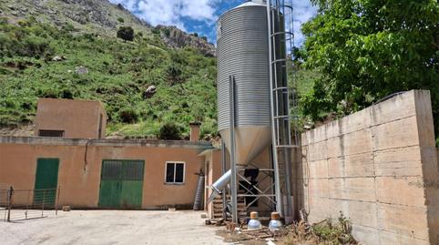 Finca rústica en venta en Calle Federico Garcia Lorca, 8, Alfarnate, Málaga - imagen 4 Foto 4 de Finca rústica en venta en Calle Federico Garcia Lorca, 8, Alfarnate, Málaga