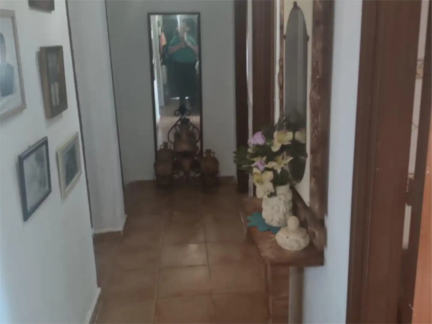 Houses for sale in Chiclana de la Frontera