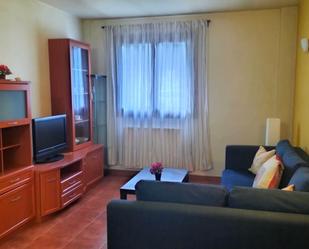 Sala d'estar de Apartament en venda en Biescas