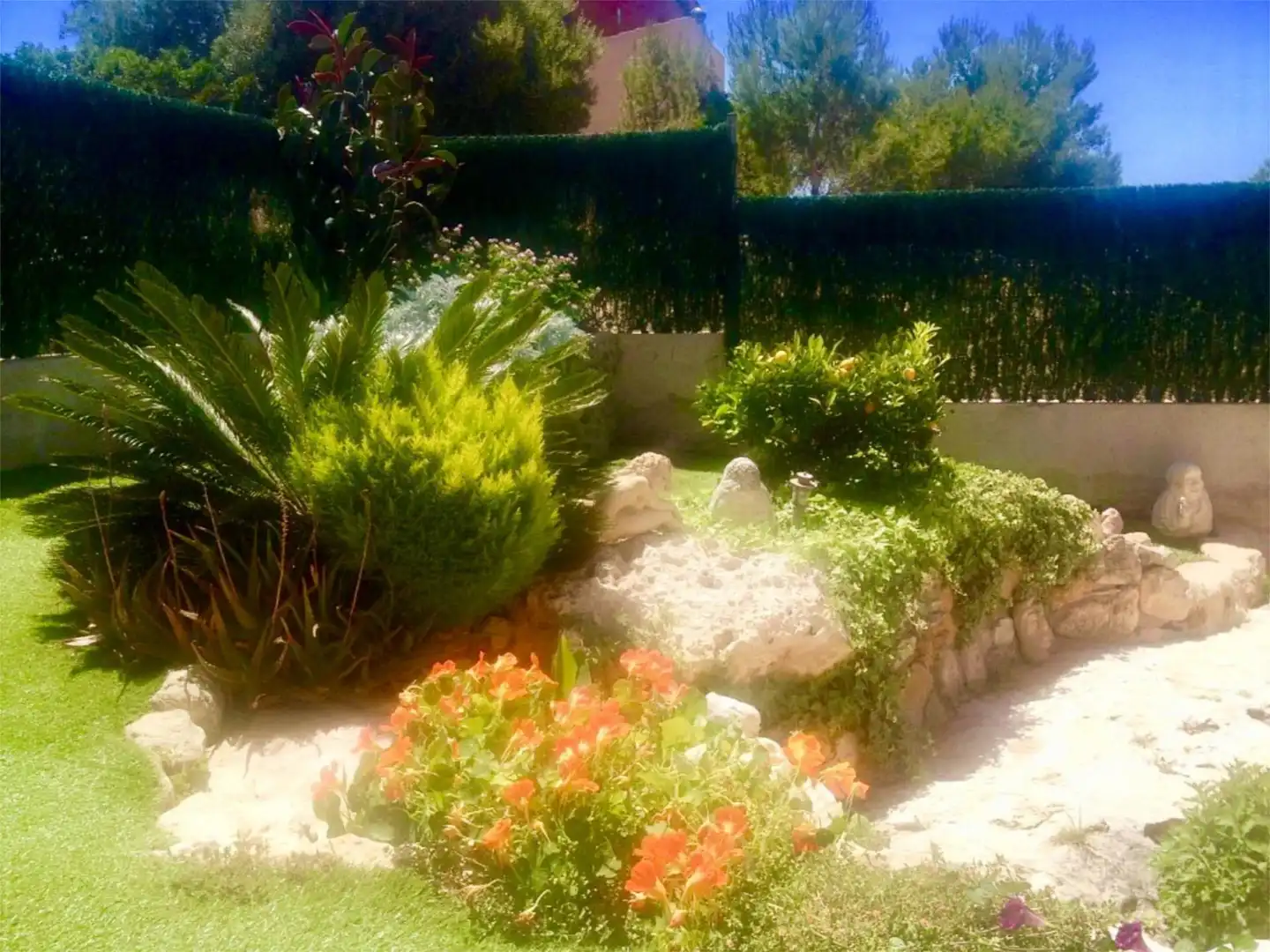 Casa o chalet en venta en Carrer Ramon Casas, 30, Roda de Berà Jardín de Casa o chalet en venta en Roda de Berà con Aire acondicionado, Terraza y Piscina