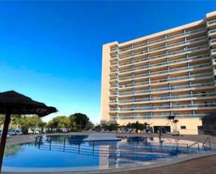 Swimming pool of Apartment for sale in Villena