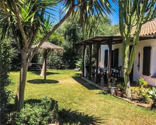 Jardí de Casa o xalet de lloguer en Barbate amb Terrassa