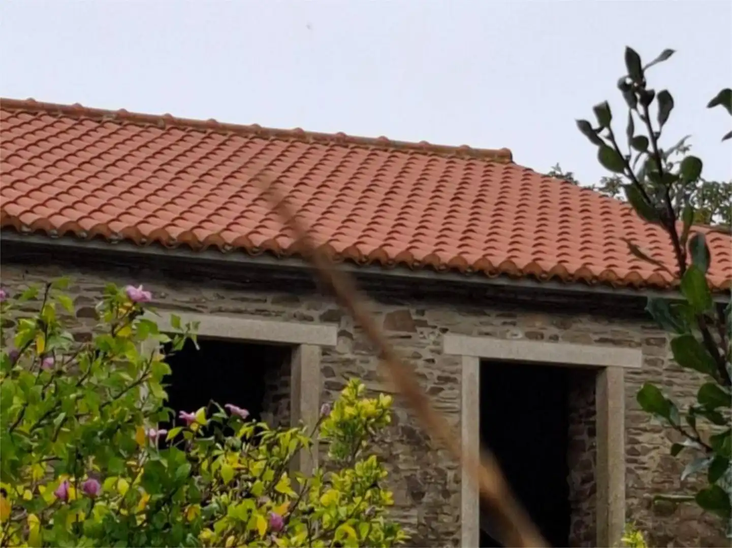 Exterior view of Detached homes for sale in Mugardos