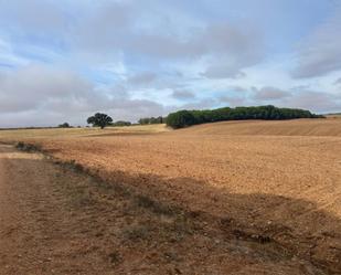 Land for sale in Fuentesaúco