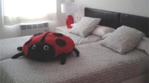 Flat to rent in Calle Única, 14, Aisa, Huesca - image 4 Photo 4 of Flat to rent in Calle Única, 14, Aisa, Huesca