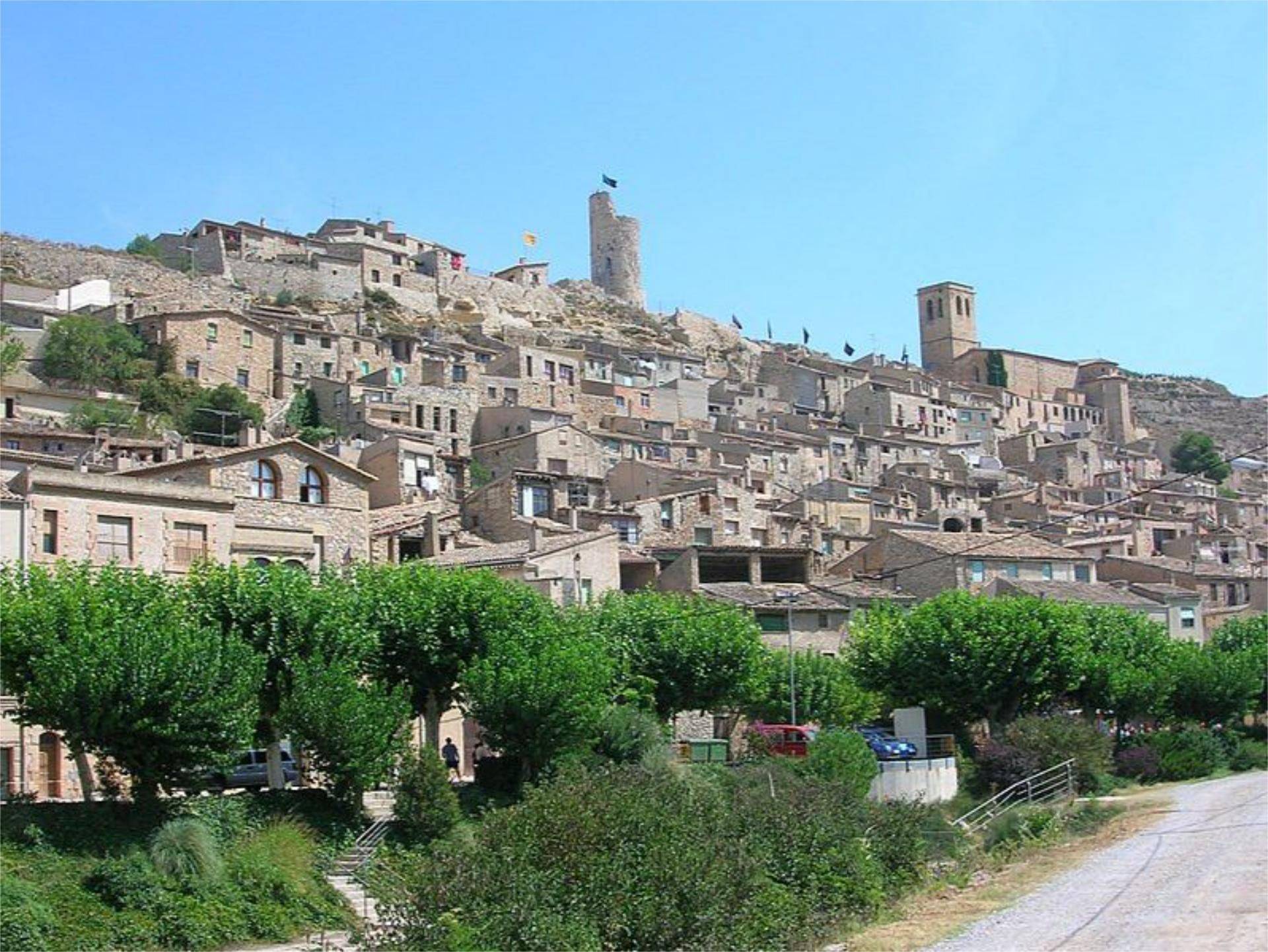 Exterior view of Land for sale in Guimerà