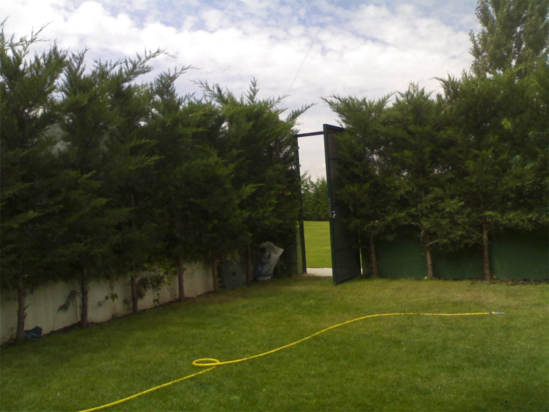 Jardí de Casa o xalet en venda en Grijota amb Terrassa, Piscina i Balcó