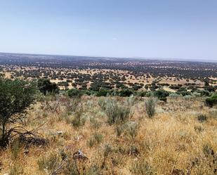 Terreny en venda en Santa Eufemia