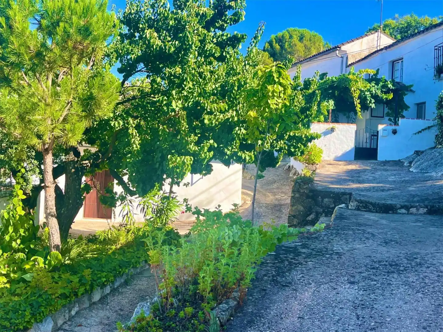 Casa adosada en venta en Calle Manuel Lopez, 8, Montejaque Jardín de Casa adosada en venta en Montejaque con Terraza y Balcón
