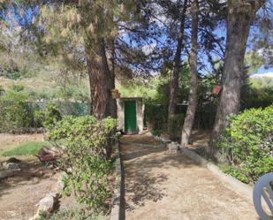 Jardí de Casa o xalet en venda en Brea de Tajo amb Terrassa