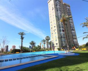 Swimming pool of Flat for sale in Benidorm  with Swimming Pool