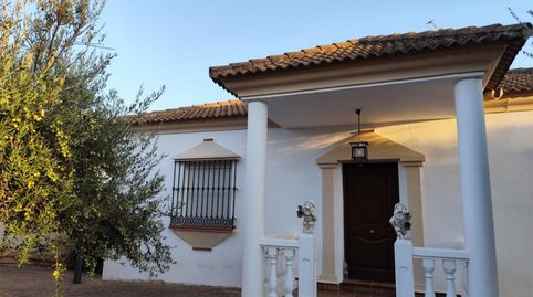 Casa o chalet en venta en Calle Séneca, 32, Écija, Sevilla - imagen 3 Foto 3 de Casa o chalet en venta en Calle Séneca, 32, Écija, Sevilla