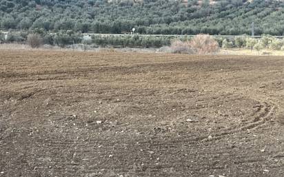 Finca rústica en alquiler en pinos puente