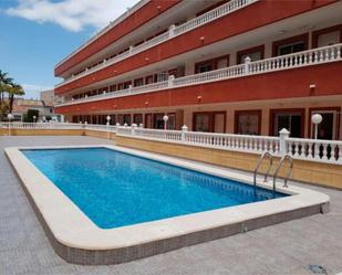 Swimming pool of Flat to rent in Rafal  with Terrace and Swimming Pool