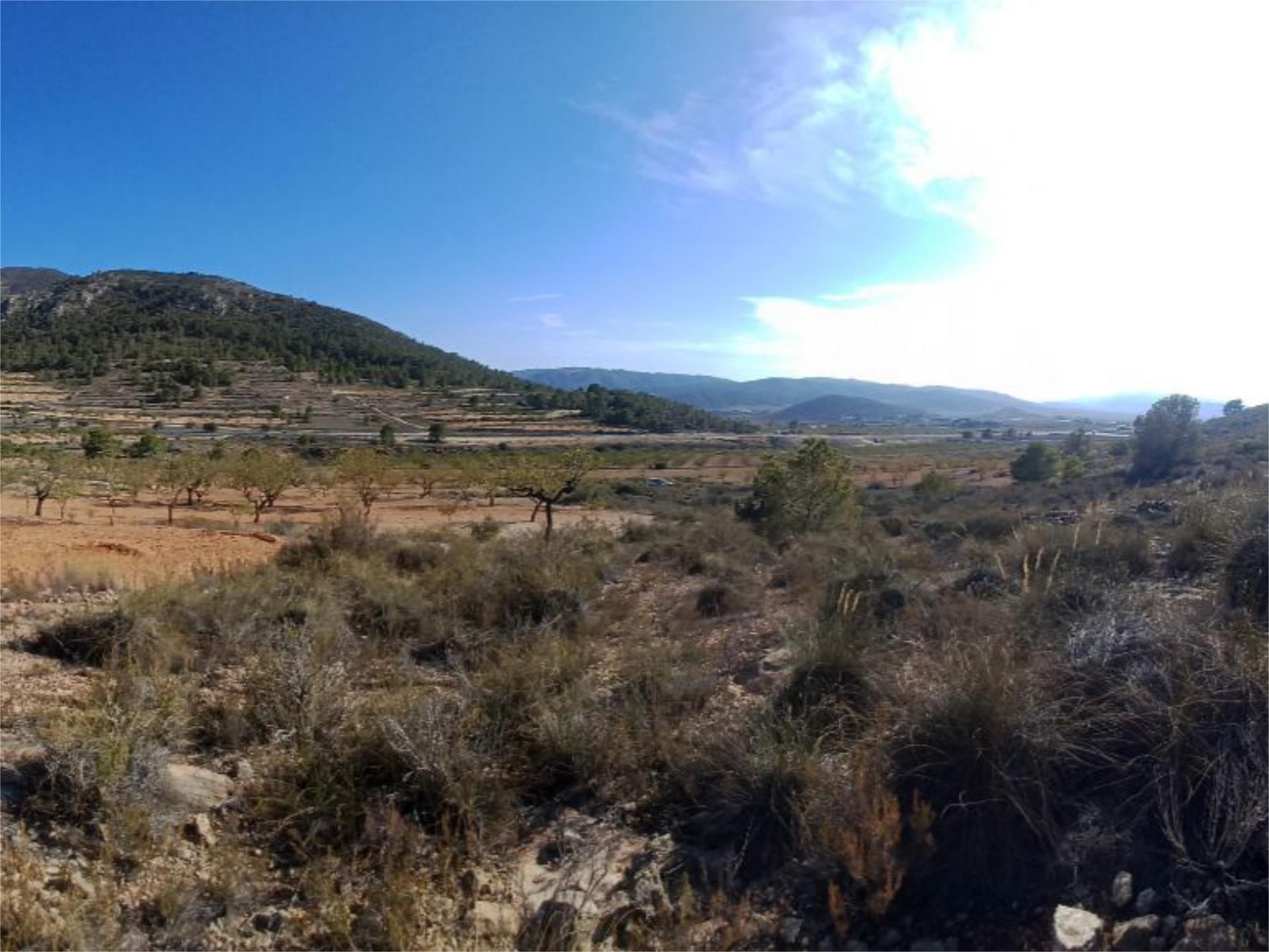 No Urbanitzable en venda en Algueña