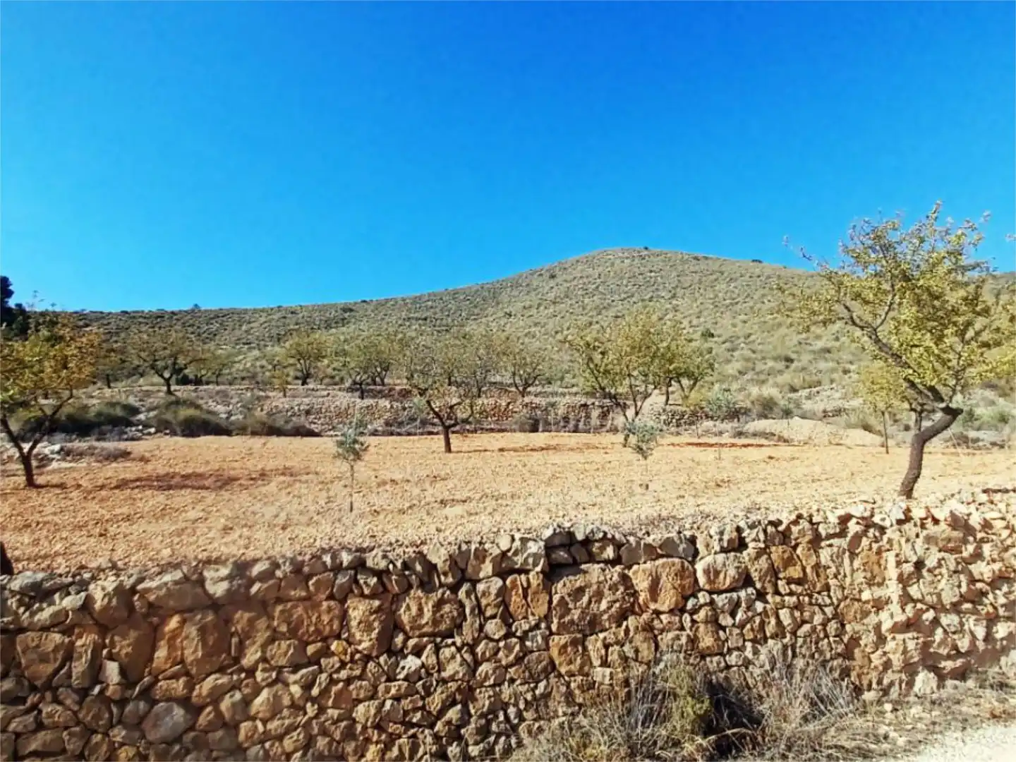 No Urbanitzable en venda a Plaça de Juan Carlos I, 6, Algueña No Urbanitzable en venda en Algueña