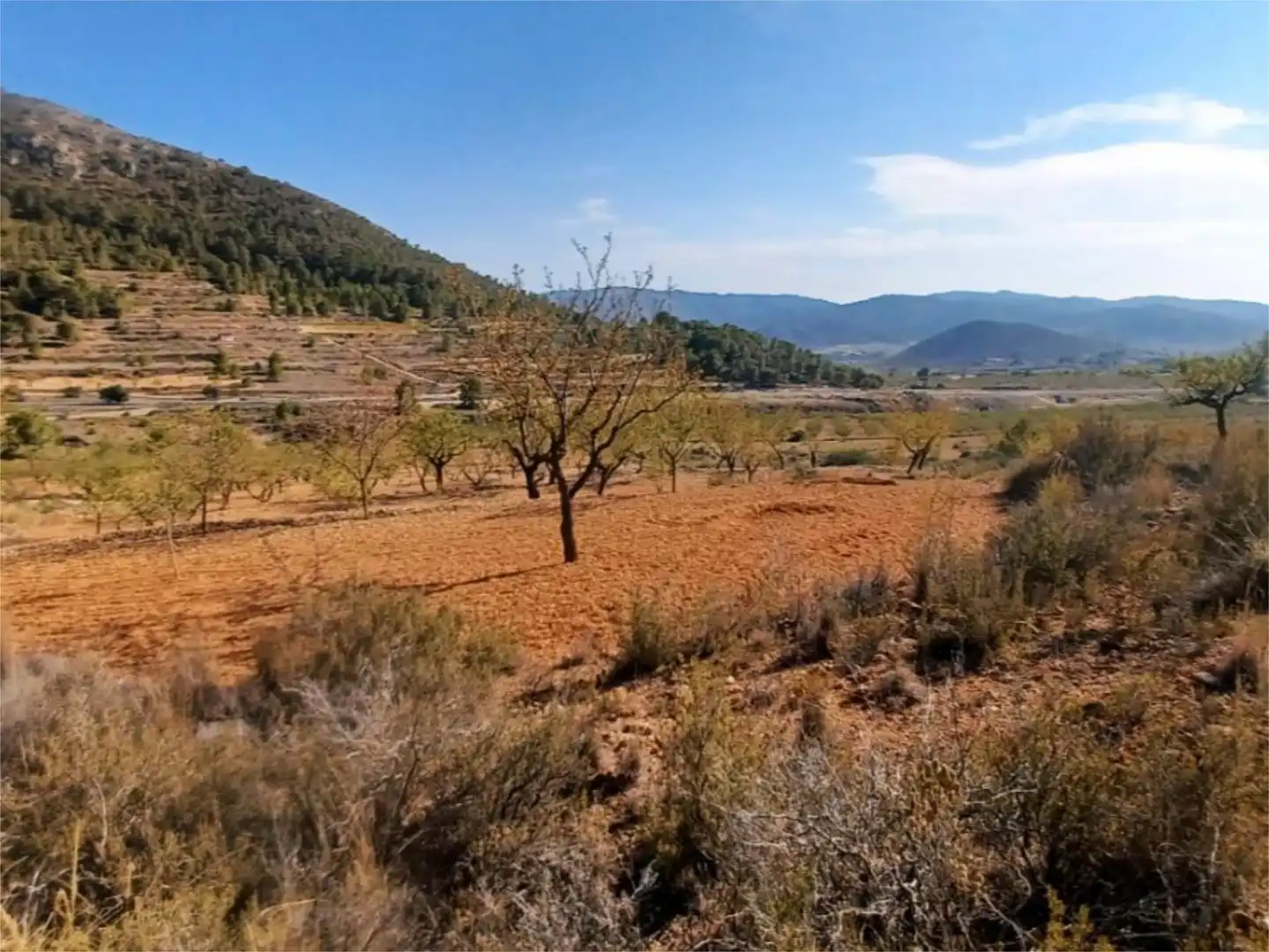 No Urbanitzable en venda a Plaça de Juan Carlos I, 6, Algueña No Urbanitzable en venda en Algueña