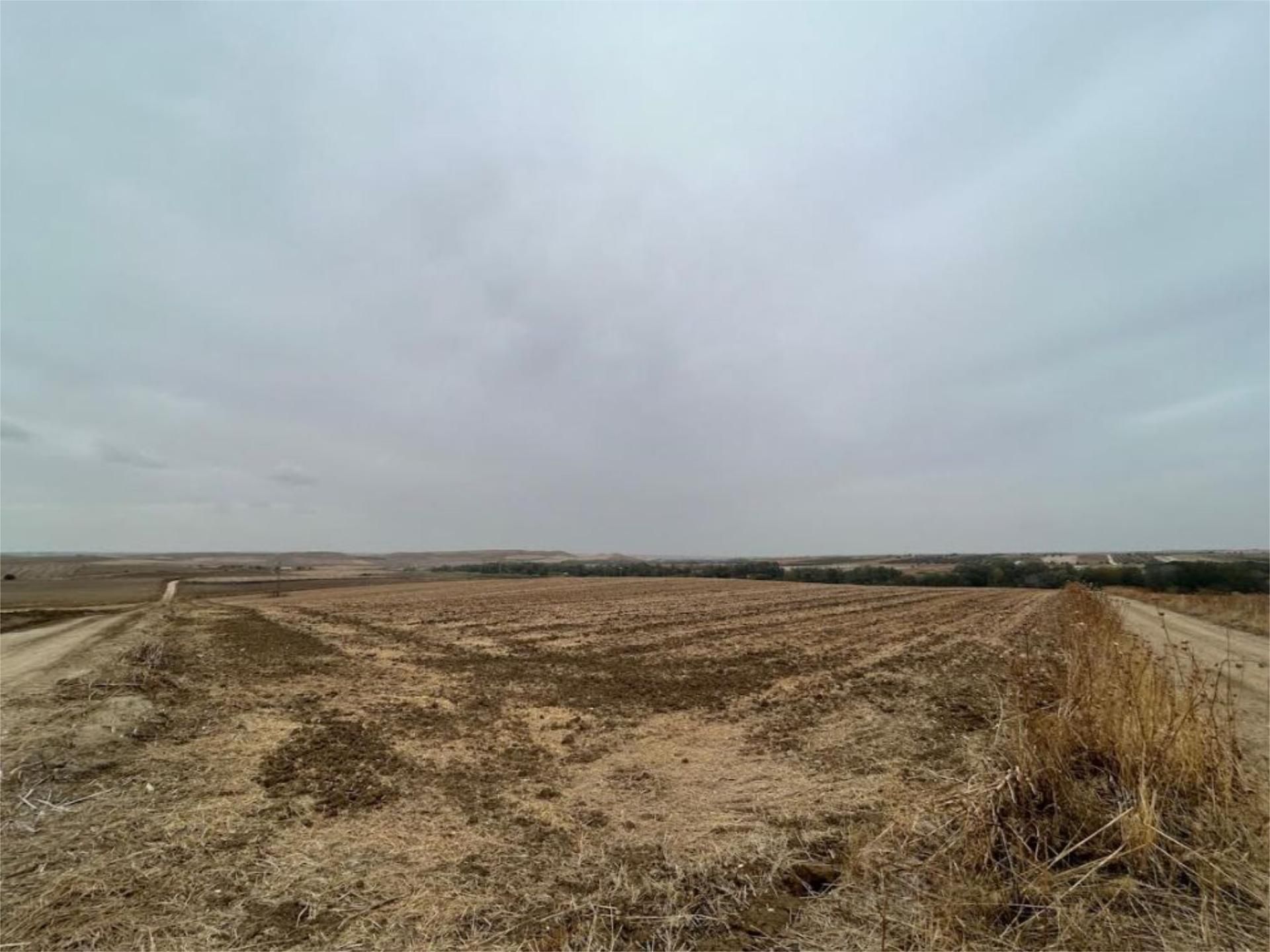 Land for sale in Yunclillos