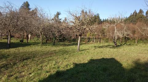 Country house for sale in Travesía Do Pumar, 21, Quintela de Leirado, Ourense - image 3 Photo 3 of Country house for sale in Travesía Do Pumar, 21, Quintela de Leirado, Ourense