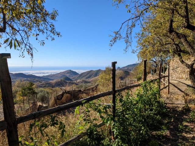 Terreno en Venta en Calle Segunda del Campo, 14D en Felix