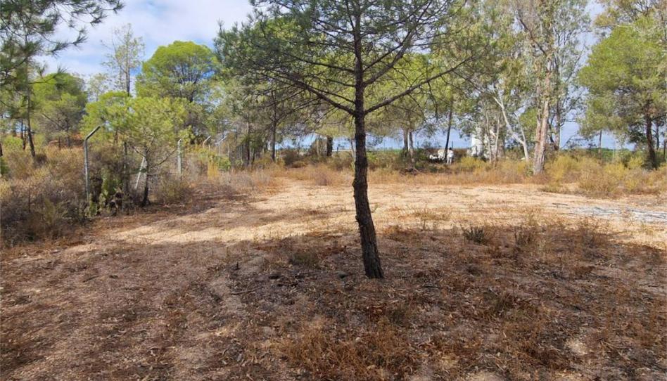 Country house for sale in Diseminado Diseminados, 24, Isla Cristina Ciudad, Huelva - image 1 Photo 1 of Country house for sale in Diseminado Diseminados, 24, Isla Cristina Ciudad, Huelva