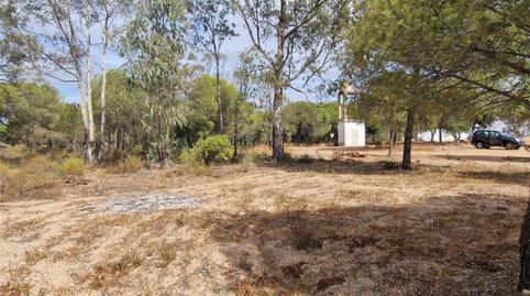 Country house for sale in Diseminado Diseminados, 24, Isla Cristina Ciudad, Huelva - image 2 Photo 2 of Country house for sale in Diseminado Diseminados, 24, Isla Cristina Ciudad, Huelva