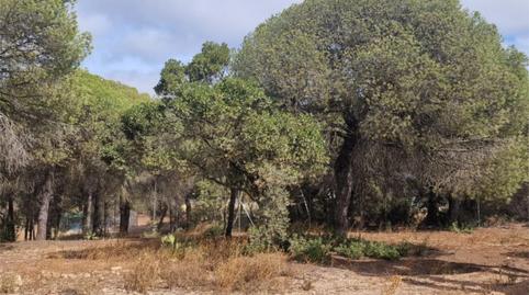 Country house for sale in Diseminado Diseminados, 24, Isla Cristina Ciudad, Huelva - image 3 Photo 3 of Country house for sale in Diseminado Diseminados, 24, Isla Cristina Ciudad, Huelva