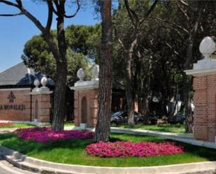 Jardí de Casa o xalet en venda en La Moraleja amb Aire condicionat, Terrassa i Piscina