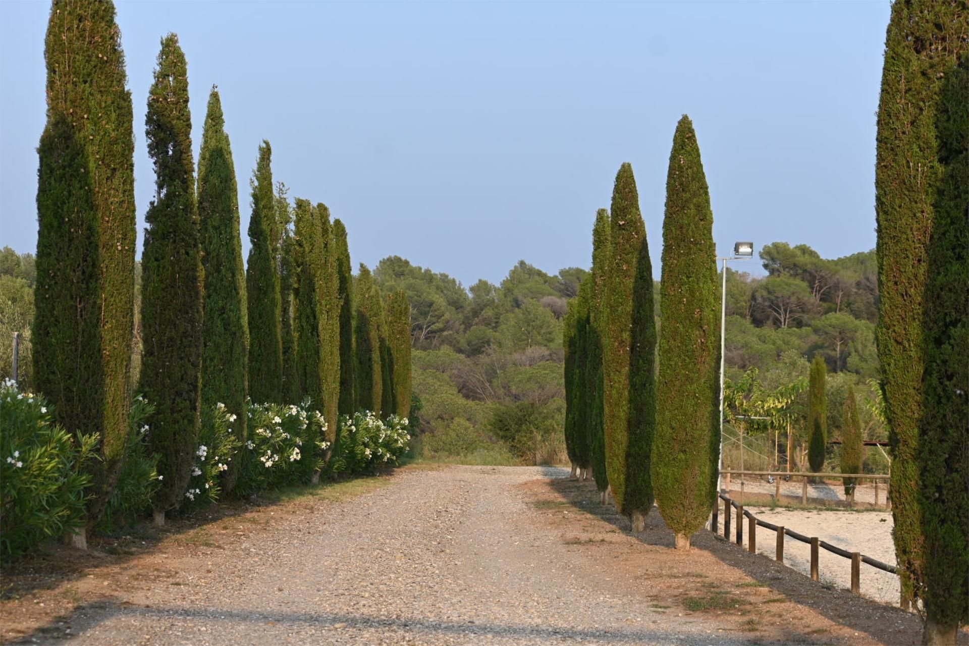 Jardí de Finca rústica en venda en Piera amb Aire condicionat i Piscina