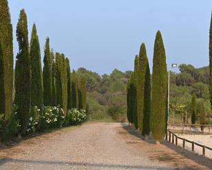 Jardí de Finca rústica en venda en Piera amb Aire condicionat i Piscina