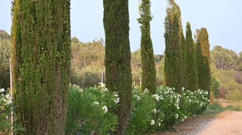 Foto 2 de Finca rústica en venda a Carrer Corona Australis, 192, Piera, Barcelona
