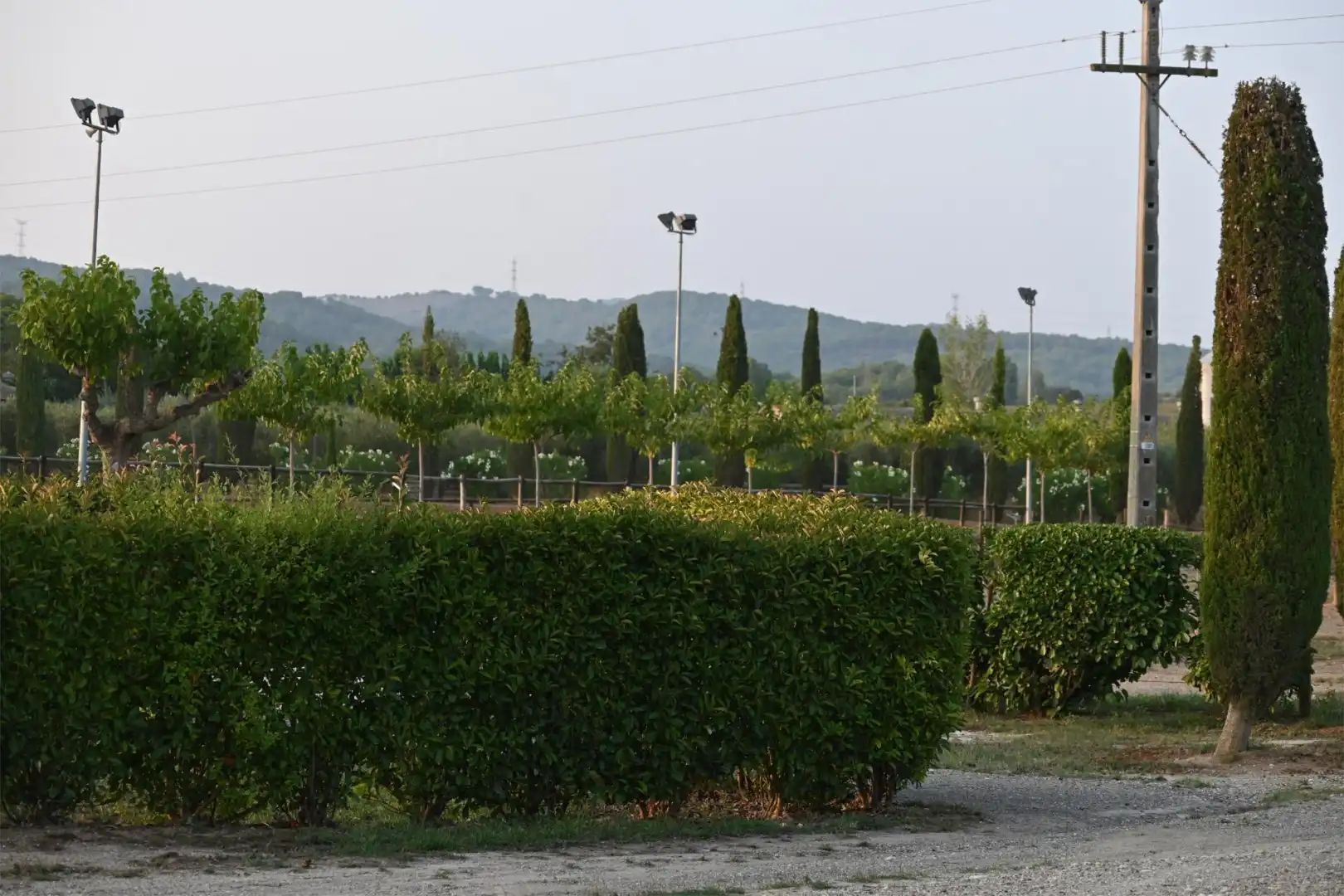 Country homes for sale in Carrer Corona Australis, 192, Piera Garden of Country homes for sale in Piera with Air Conditioner and Swimming Pool
