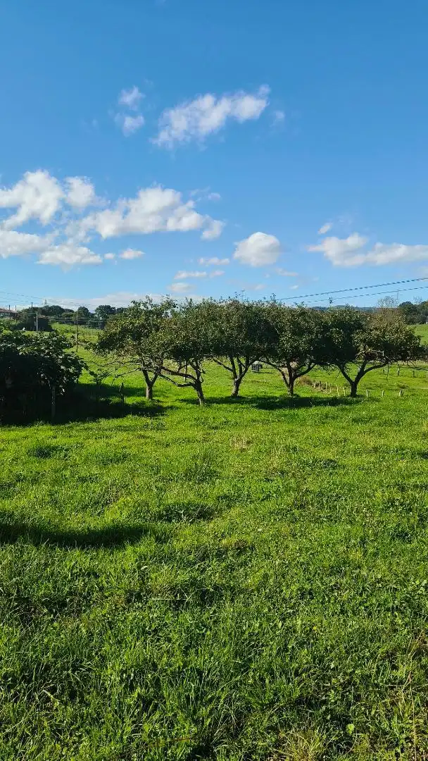 Finca rústica en venda en Nava amb Calefacció, Jardí privat i Terrassa
