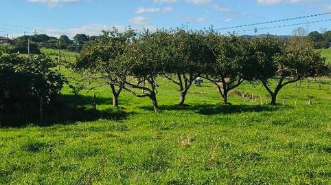 Country house for sale in Carretera Nacional 634, 12, Nava, Asturias - image 4 Photo 4 of Country house for sale in Carretera Nacional 634, 12, Nava, Asturias