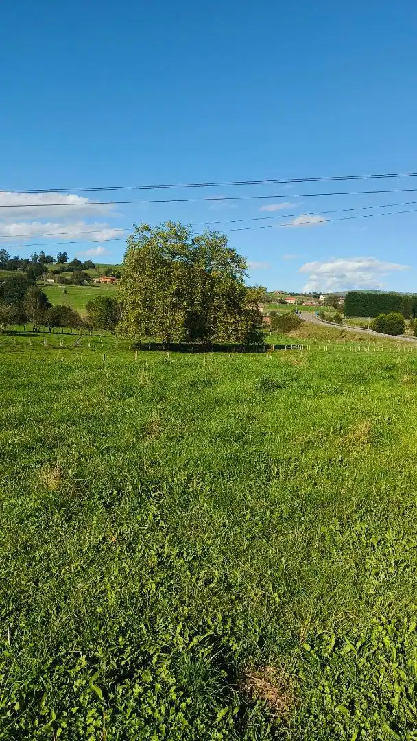 Finca rústica en venda en Nava amb Calefacció, Jardí privat i Terrassa