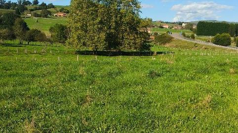 Country house for sale in Carretera Nacional 634, 12, Nava, Asturias - image 3 Photo 3 of Country house for sale in Carretera Nacional 634, 12, Nava, Asturias