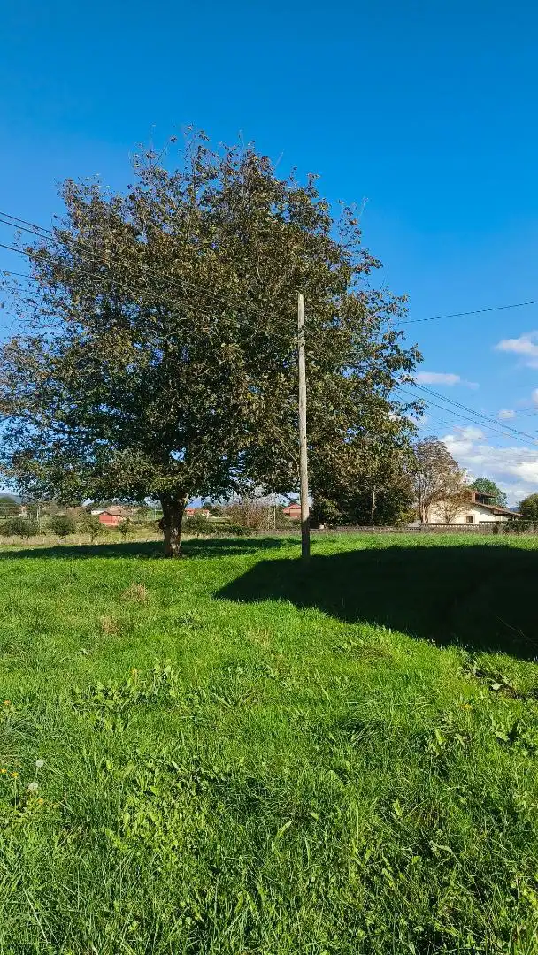 Finca rústica en venda en Nava amb Calefacció, Jardí privat i Terrassa