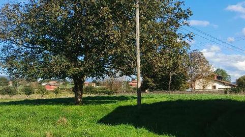 Country house for sale in Carretera Nacional 634, 12, Nava, Asturias - image 2 Photo 2 of Country house for sale in Carretera Nacional 634, 12, Nava, Asturias