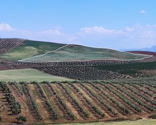 Exterior view of Land for sale in  Jaén Capital