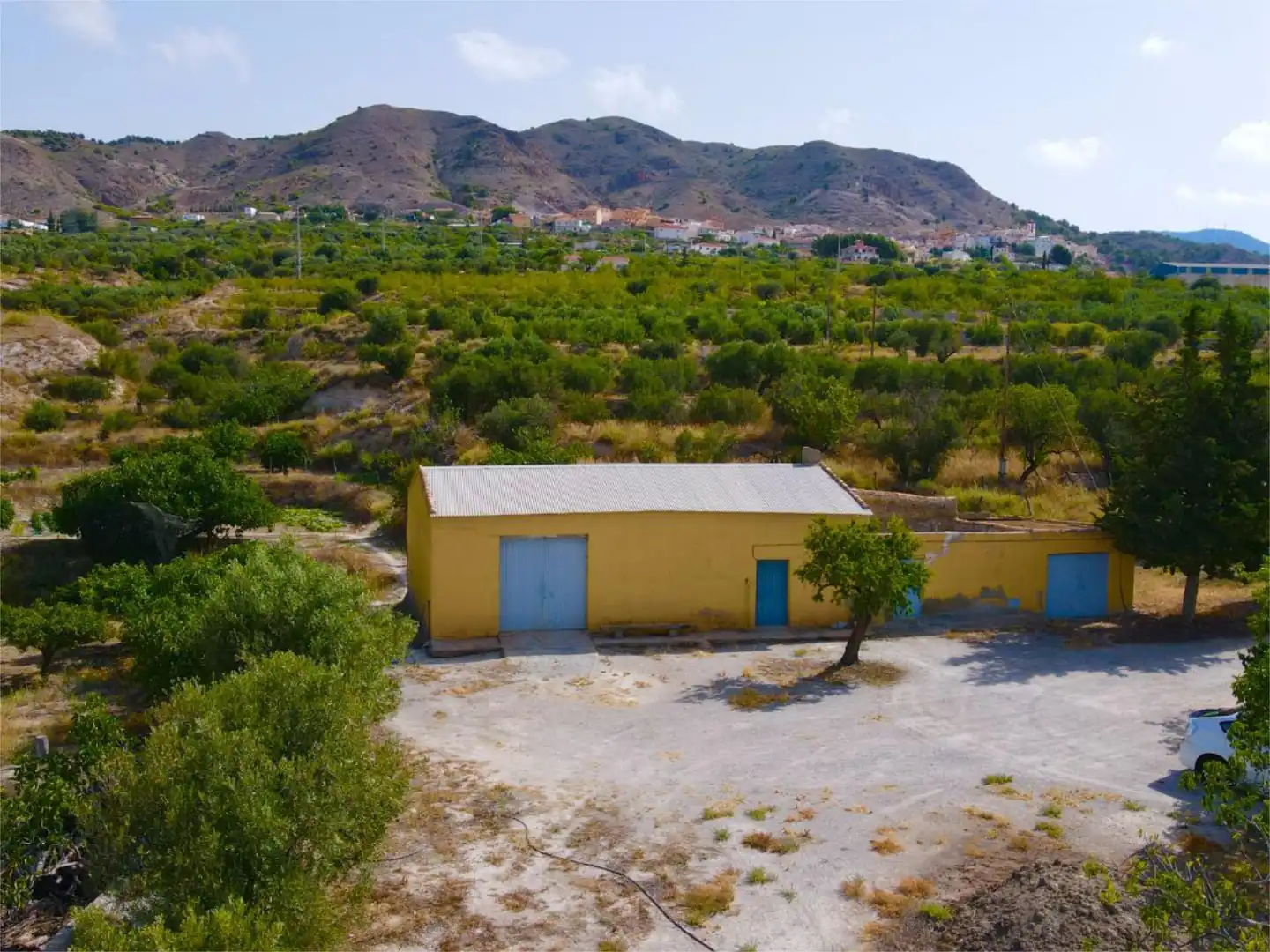 Vista exterior de Finca rústica en venta en Purchena